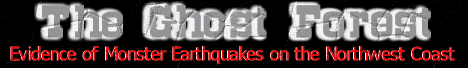 mquake(1).gif (10879 bytes)